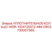 5730007365 УПЛОТНИТЕЛЬНОЕ КОЛЬЦО-WDR-100X120X12-MM-DIN Epiroc