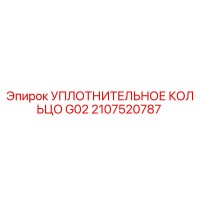 2107520787 УПЛОТНИТЕЛЬНОЕ КОЛЬЦО G02 Epiroc