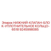 9245998085 НИЖНИЙ-КЛАПАН-БЛОК-УПЛОТНИТЕЛЬНОЕ КОЛЬЦО-6518 Epiroc