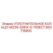 663716800 УПЛОТНИТЕЛЬНОЕ КОЛЬЦО-M239-30IDX-5-70SECT Epiroc