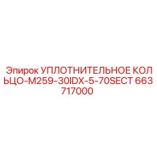 663717000 УПЛОТНИТЕЛЬНОЕ КОЛЬЦО-M259-30IDX-5-70SECT Epiroc