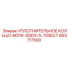 663717500 УПЛОТНИТЕЛЬНОЕ КОЛЬЦО-M319-30IDX-5-70SECT Epiroc