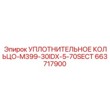 663717900 УПЛОТНИТЕЛЬНОЕ КОЛЬЦО-M399-30IDX-5-70SECT Epiroc