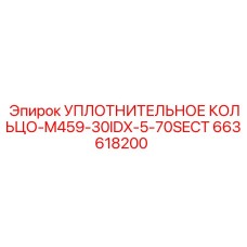 663618200 УПЛОТНИТЕЛЬНОЕ КОЛЬЦО-M459-30IDX-5-70SECT Epiroc