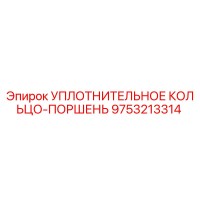 9753213314 УПЛОТНИТЕЛЬНОЕ КОЛЬЦО-ПОРШЕНЬ Epiroc