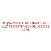 GS12634474 УПЛОТНИТЕЛЬНОЕ КОЛЬЦО TS СТАТИЧЕСКОЕ Epiroc