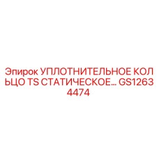 GS12634474 УПЛОТНИТЕЛЬНОЕ КОЛЬЦО TS СТАТИЧЕСКОЕ Epiroc