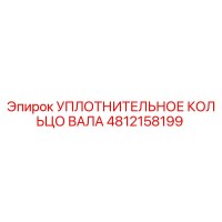 4812158199 УПЛОТНИТЕЛЬНОЕ КОЛЬЦО ВАЛА Epiroc