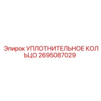 2695087029 УПЛОТНИТЕЛЬНОЕ КОЛЬЦО Epiroc