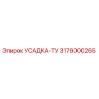 3176000265 УСАДКА-ТУ Epiroc