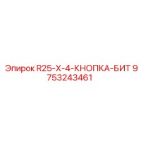 9753243461 R25-X-4-КНОПКА-БИТ Epiroc