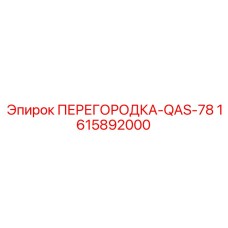 1615892000 ПЕРЕГОРОДКА-QAS-78 Epiroc