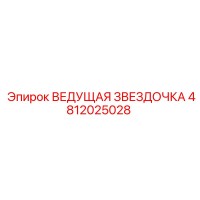 4812025028 ВЕДУЩАЯ ЗВЕЗДОЧКА Epiroc