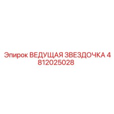4812025028 ВЕДУЩАЯ ЗВЕЗДОЧКА Epiroc