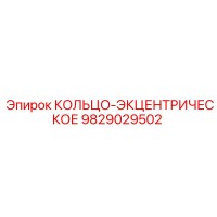 9829029502 КОЛЬЦО-ЭКЦЕНТРИЧЕСКОЕ Epiroc