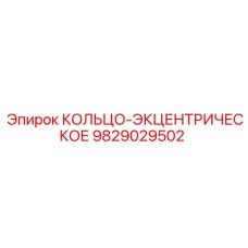 9829029502 КОЛЬЦО-ЭКЦЕНТРИЧЕСКОЕ Epiroc