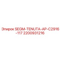 2200931216 SEGM-TENUTA-AP-C2916-117 Epiroc