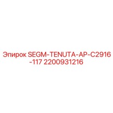 2200931216 SEGM-TENUTA-AP-C2916-117 Epiroc