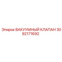 3092171692 ВАКУУМНЫЙ КЛАПАН Epiroc