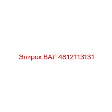 4812113131 ВАЛ Epiroc
