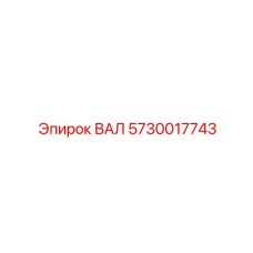 5730017743 ВАЛ Epiroc