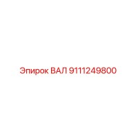 9111249800 ВАЛ (Epiroc)