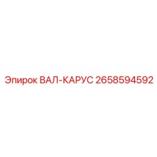 2658594592 ВАЛ-КАРУС Epiroc