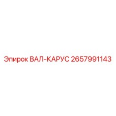 2657991143 ВАЛ-КАРУС Epiroc