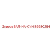 89980254 ВАЛ-НА-СУИ Epiroc