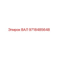 9718485648 ВАЛ Epiroc