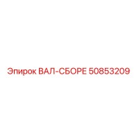 50853209 ВАЛ-СБОРЕ Epiroc