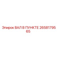 2658179565 ВАЛ В ПУНКТЕ Epiroc