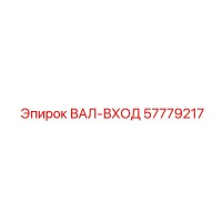 57779217 ВАЛ-ВХОД Epiroc