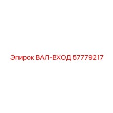 57779217 ВАЛ-ВХОД Epiroc
