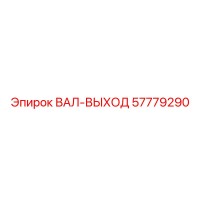 57779290 ВАЛ-ВЫХОД Epiroc