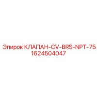 1624504047 КЛАПАН-CV-BRS-NPT-75 Epiroc