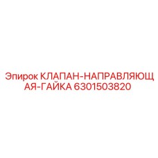 6301503820 КЛАПАН-НАПРАВЛЯЮЩАЯ-ГАЙКА Epiroc