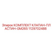1129702488 КОМПЛЕКТ КЛАПАН-ПЛАСТИН-GM265 Epiroc