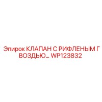 WP123832 КЛАПАН С РИФЛЕНЫМ ГВОЗДЬЮ Epiroc