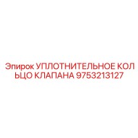 9753213127 УПЛОТНИТЕЛЬНОЕ КОЛЬЦО КЛАПАНА Epiroc
