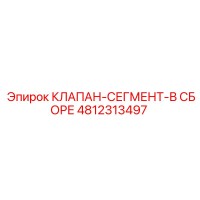 4812313497 КЛАПАН-СЕГМЕНТ-В СБОРЕ Epiroc
