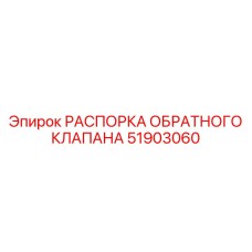 51903060 РАСПОРКА ОБРАТНОГО КЛАПАНА Epiroc