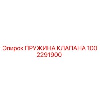 1002291900 ПРУЖИНА КЛАПАНА Epiroc