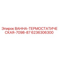 6236306300 ВАННА-ТЕРМОСТАТИЧЕСКАЯ-7098-87 Epiroc