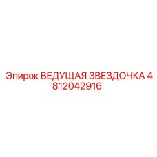 4812042916 ВЕДУЩАЯ ЗВЕЗДОЧКА Epiroc