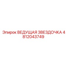 4812043749 ВЕДУЩАЯ ЗВЕЗДОЧКА Epiroc
