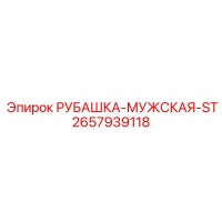 2657939118 РУБАШКА-МУЖСКАЯ-ST Epiroc