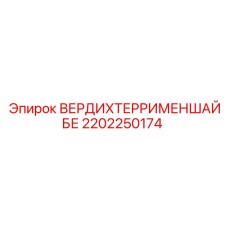 2202250174 ВЕРДИХТЕРРИМЕНШАЙБЕ Epiroc