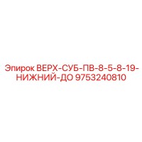 9753240810 ВЕРХ-СУБ-ПВ-8-5-8-19-НИЖНИЙ-ДО Epiroc