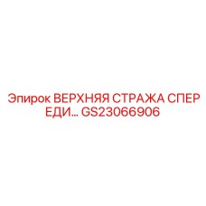 GS23066906 ВЕРХНЯЯ СТРАЖА СПЕРЕДИ Epiroc